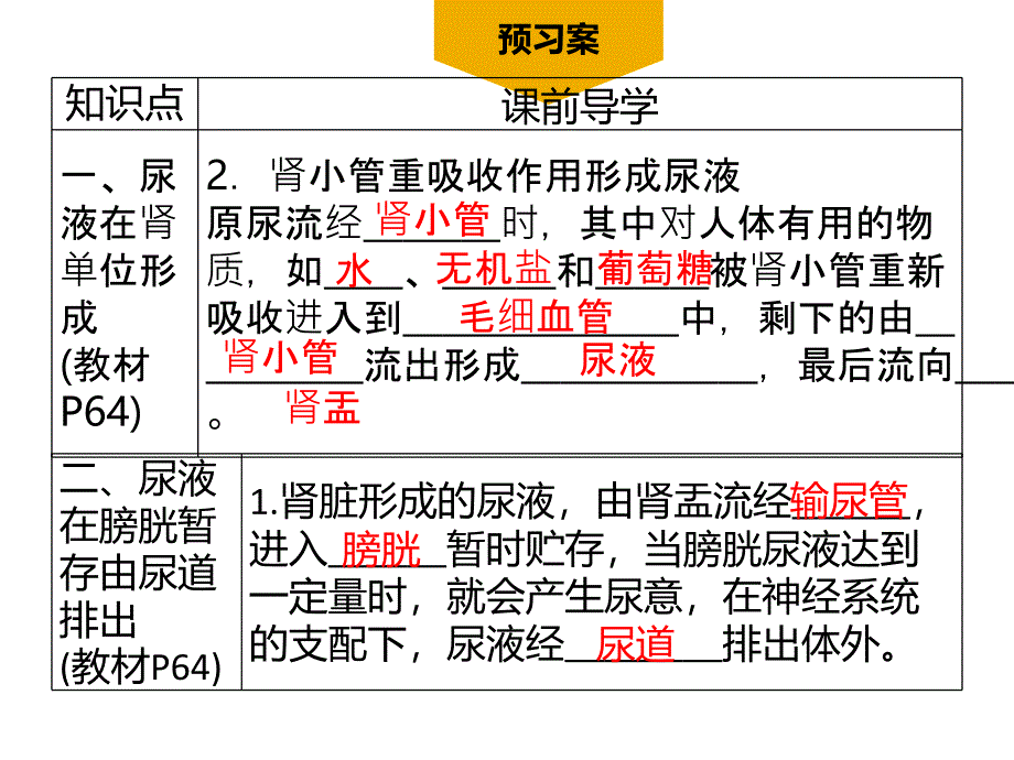 第2课时尿的形成与排出_第4页