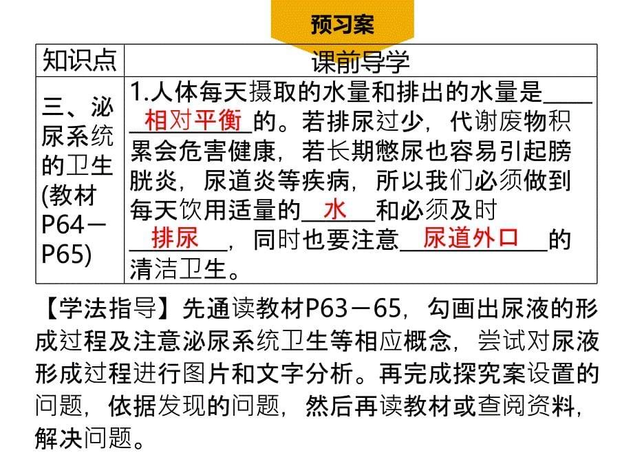 第2课时尿的形成与排出_第5页