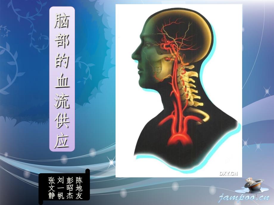 脑部的血管供应课堂PPT_第1页