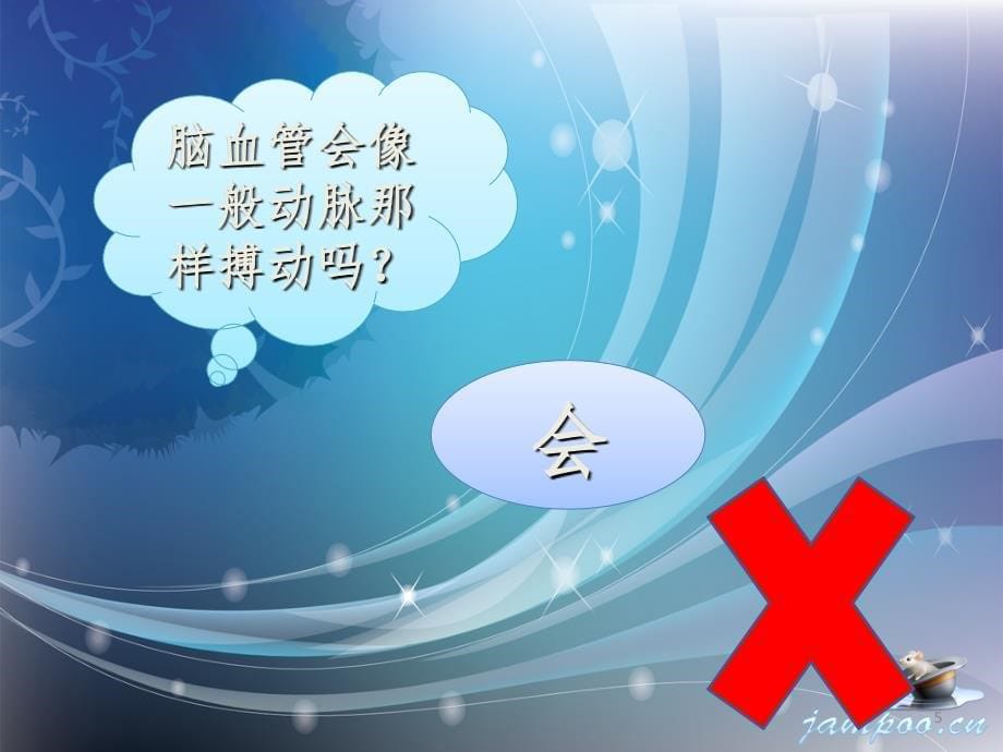 脑部的血管供应课堂PPT_第5页