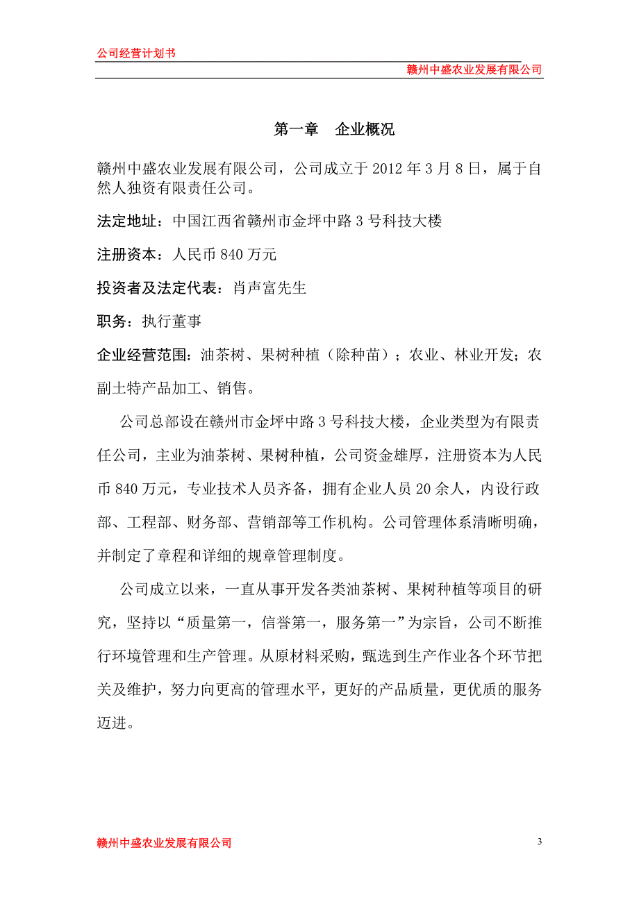 公司运营计划书模板.doc_第3页