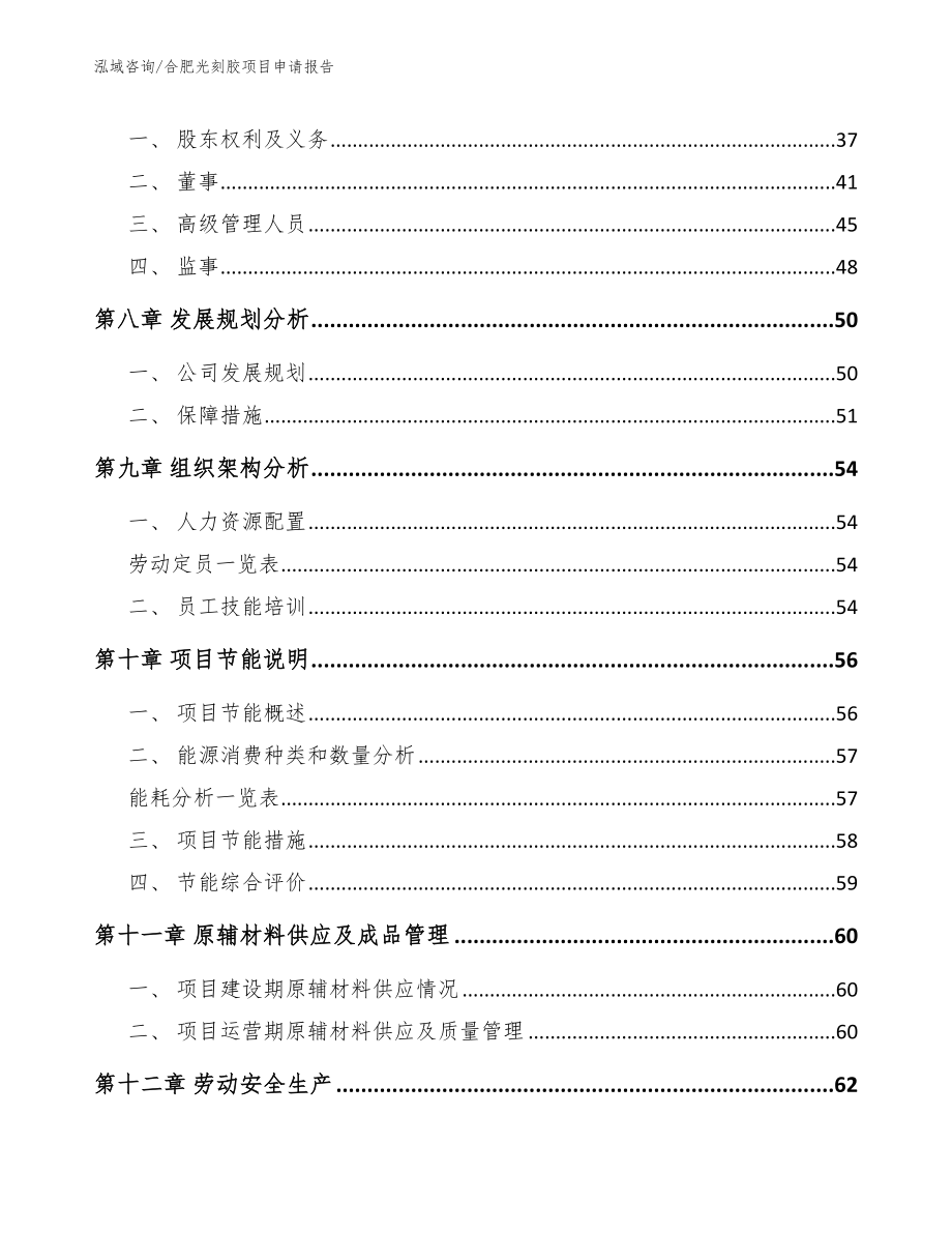 合肥光刻胶项目申请报告_第3页