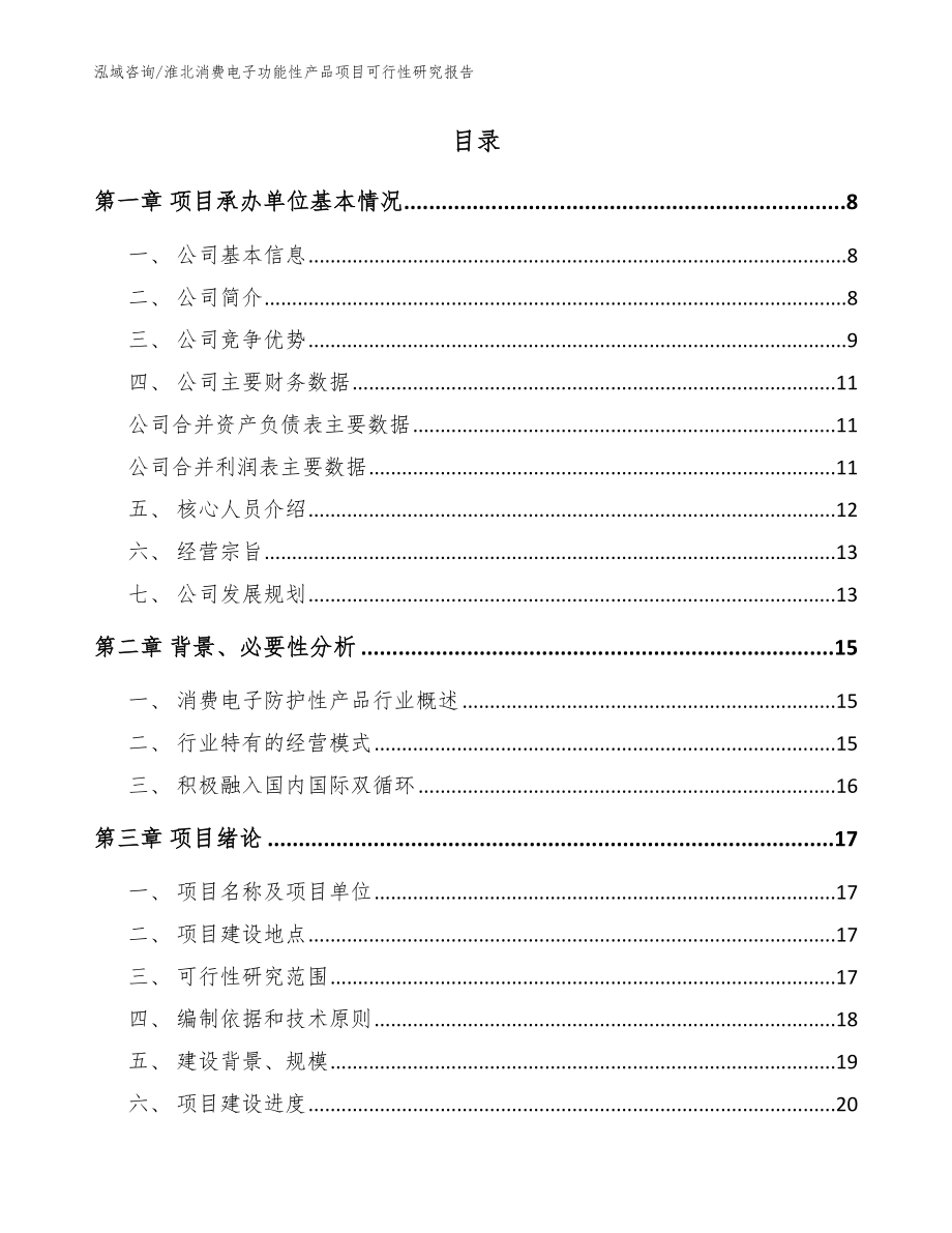 淮北消费电子功能性产品项目可行性研究报告【参考范文】_第2页