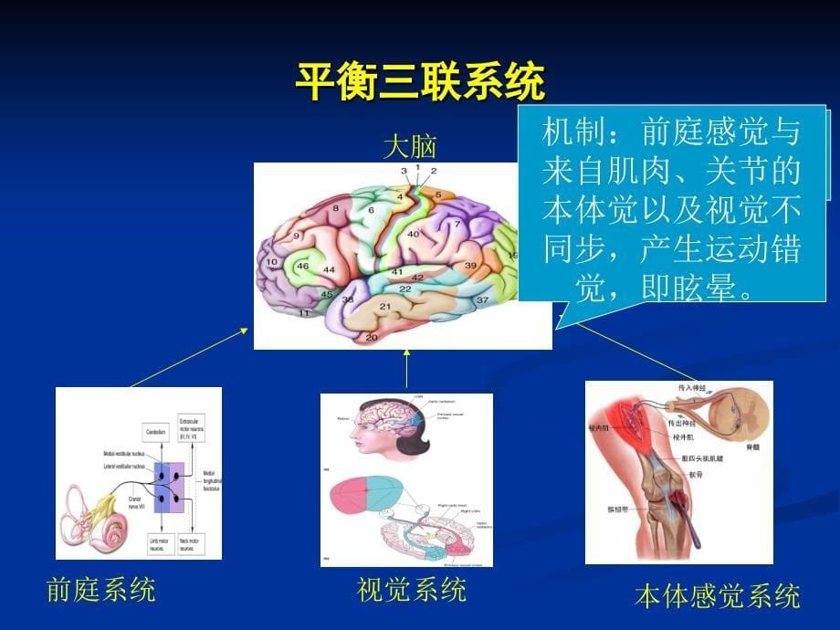 眩晕诊治专家共识_第5页