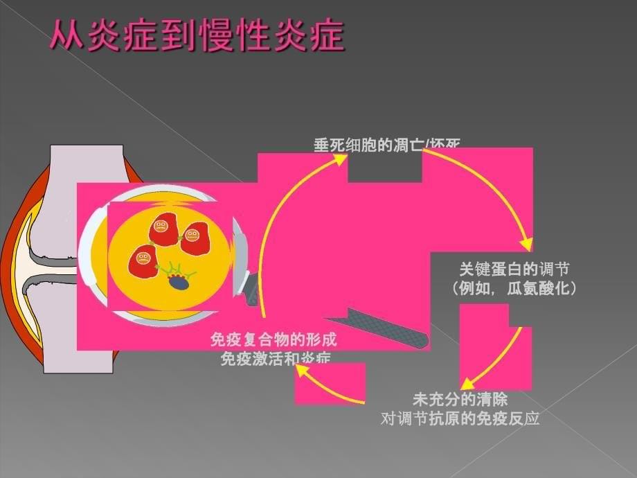 CCP科新公司幻灯_第5页