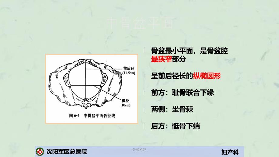 分娩机制课件_第4页