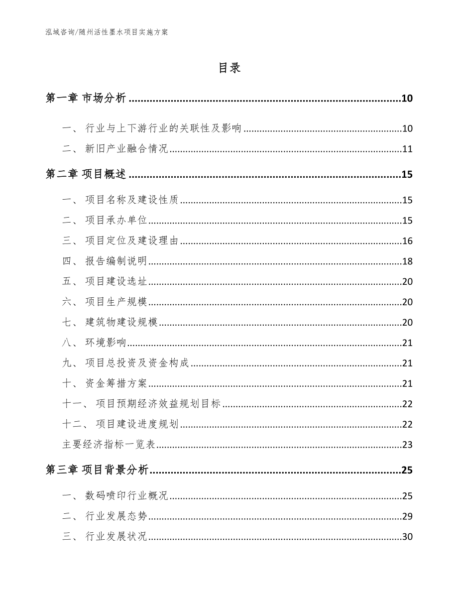 随州活性墨水项目实施方案_第2页