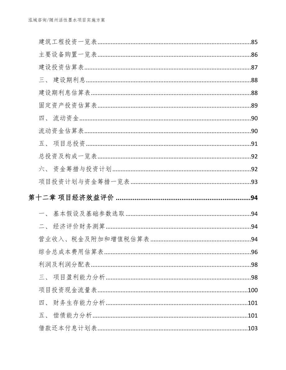 随州活性墨水项目实施方案_第5页