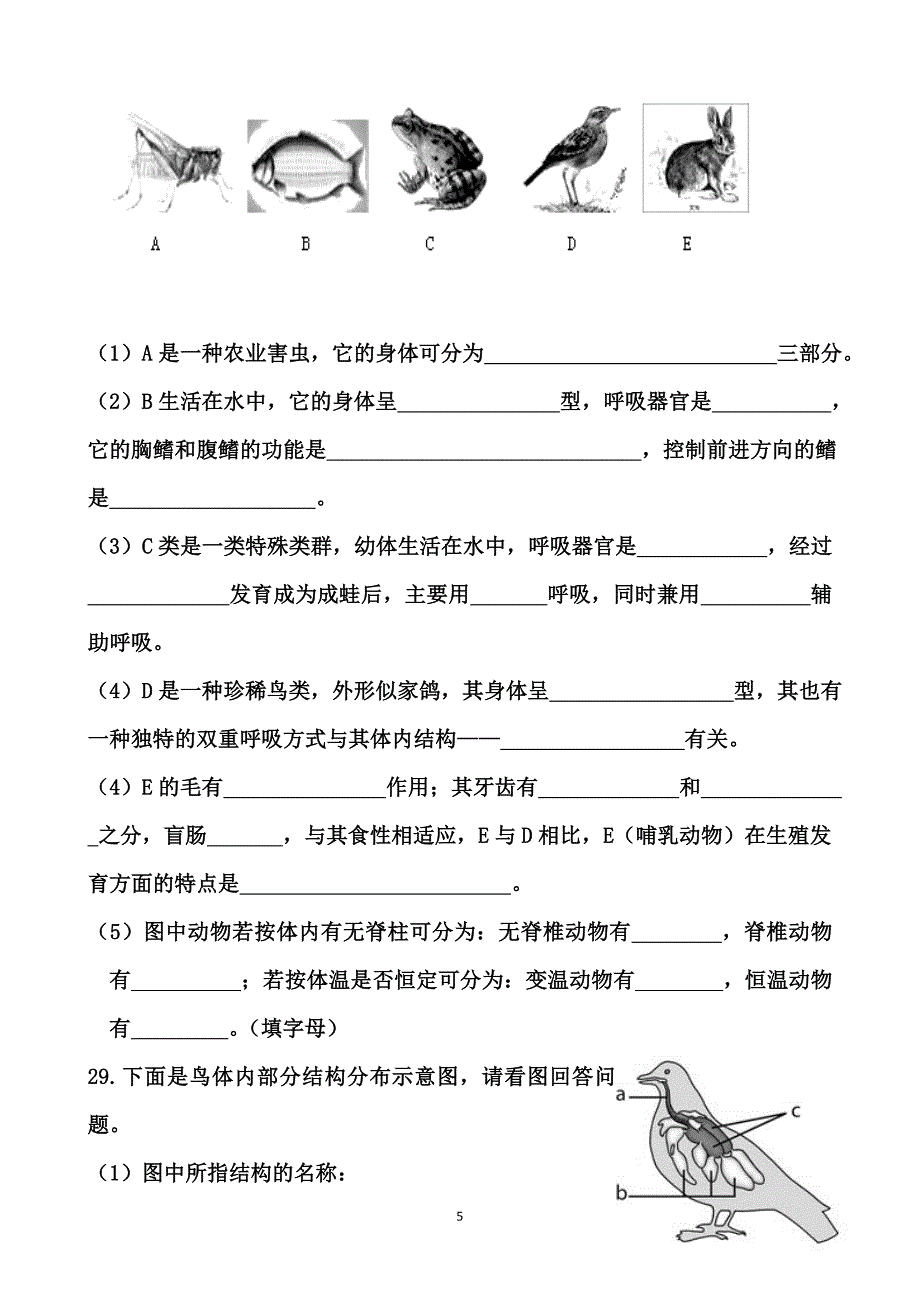 脊椎无脊椎动物习题.doc_第5页