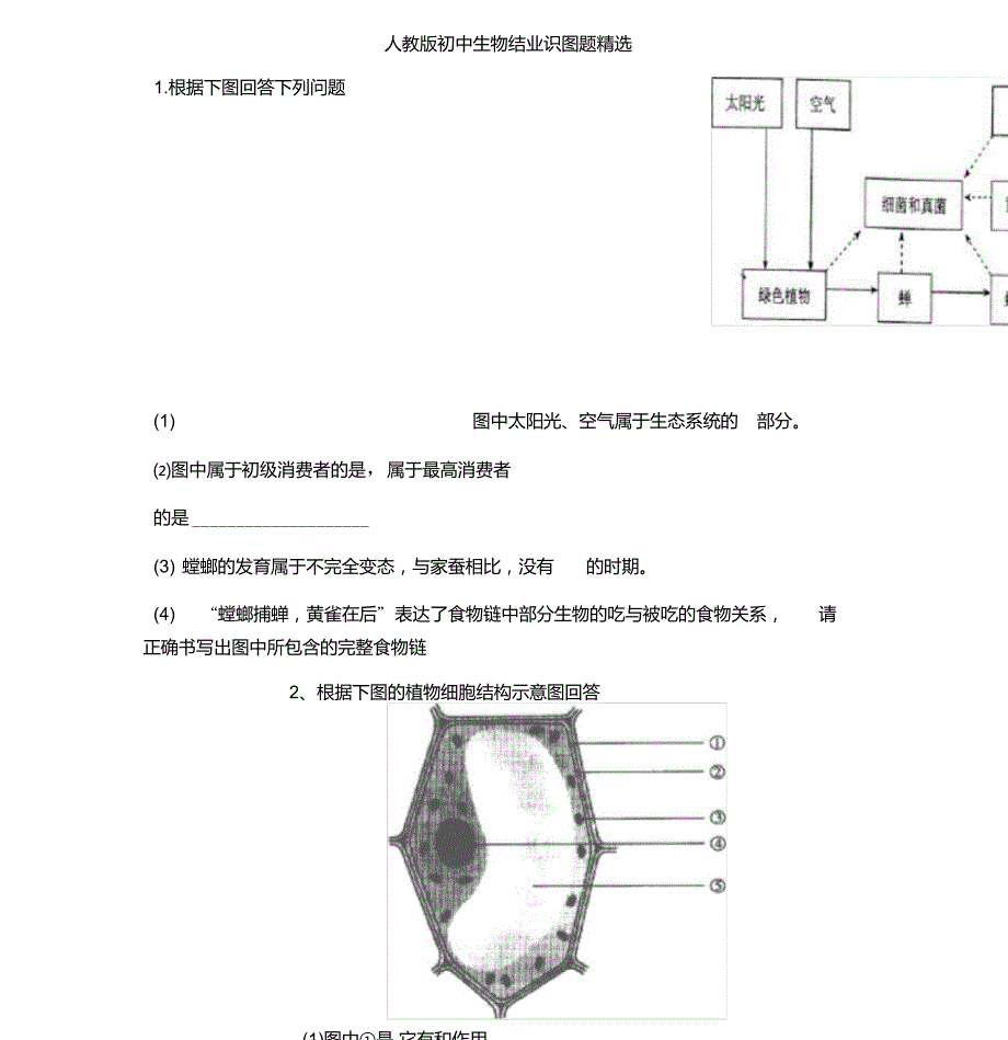 人教版初中生物识图专题(整理版)_第1页