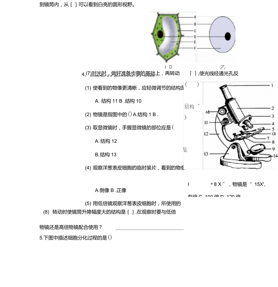 人教版初中生物识图专题(整理版)_第4页