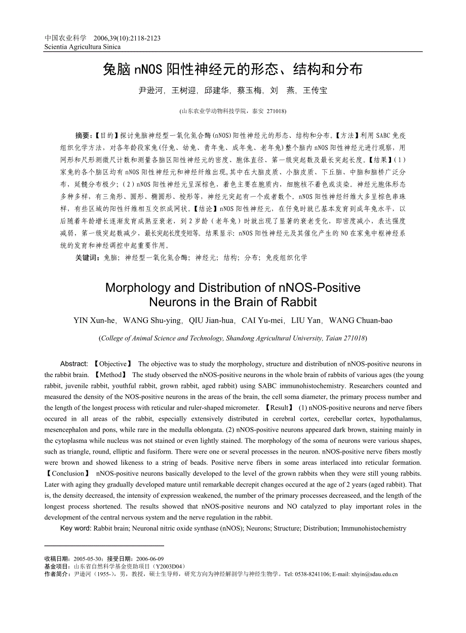 15-兔脑nNOS阳性神经元的形态、结构和分布.doc_第1页