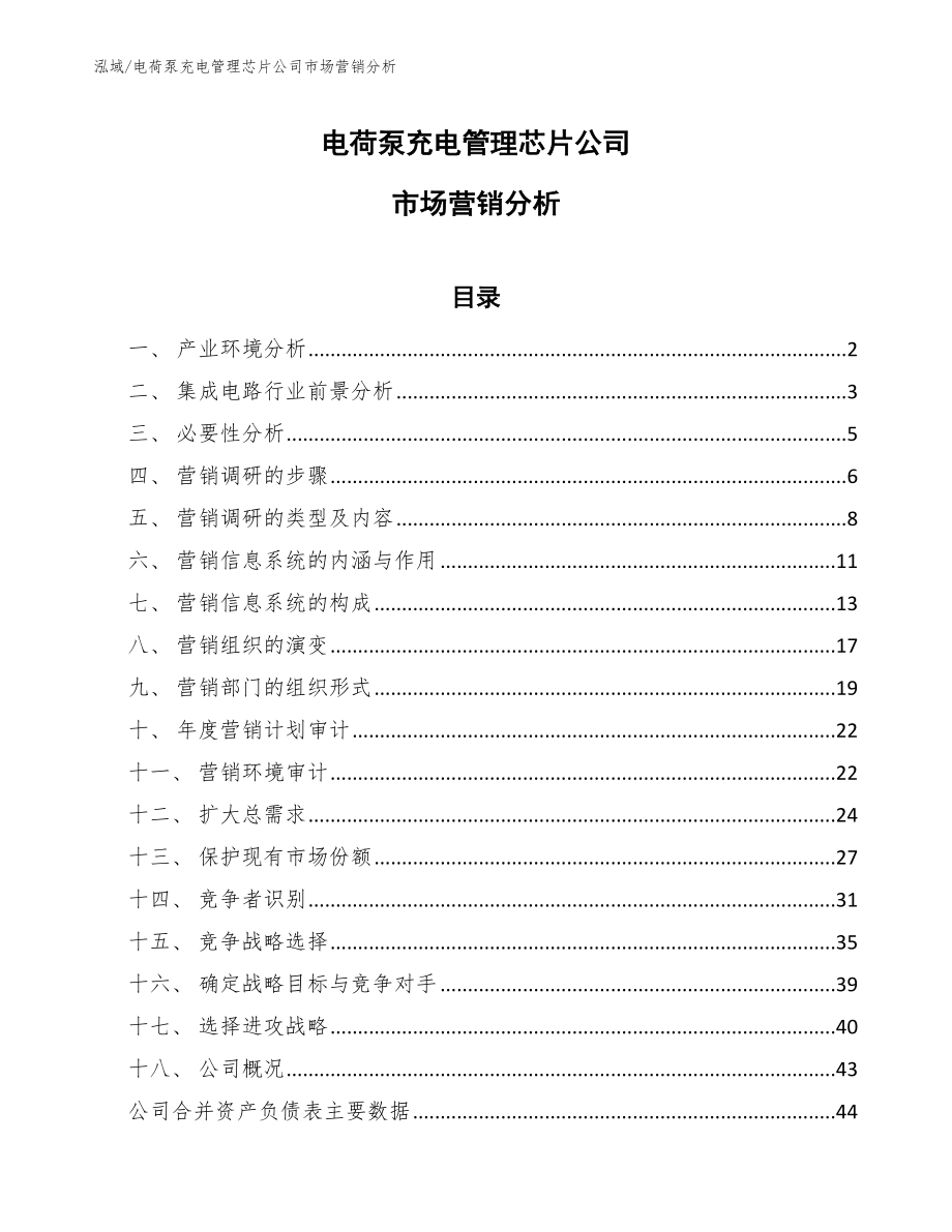 电荷泵充电管理芯片公司市场营销分析_第1页