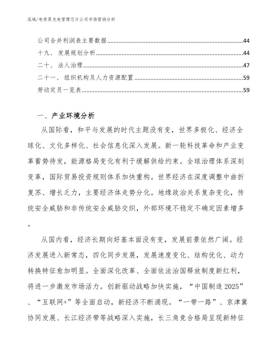 电荷泵充电管理芯片公司市场营销分析_第2页