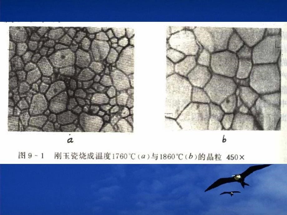 第八章-陶瓷岩相学分析课件_第5页