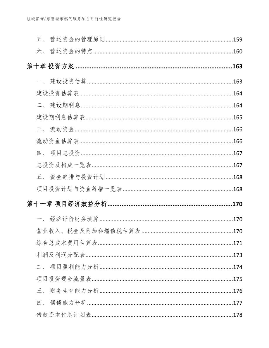 东营城市燃气服务项目可行性研究报告参考模板_第4页