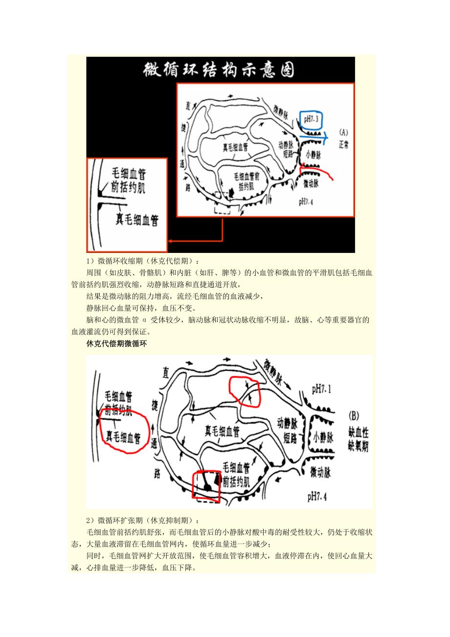 第三单元 外科休克.doc_第3页