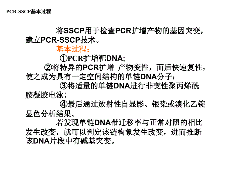 cp实验操作PPT课件_第3页