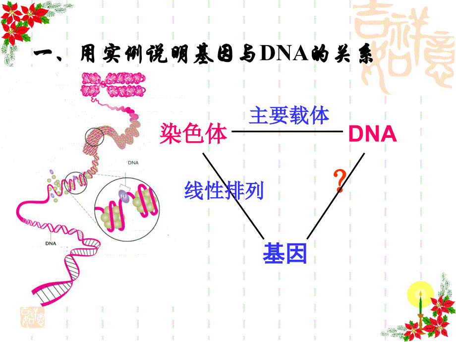 3.4基因是有遗传效应的DNA片段公开课修订_第2页