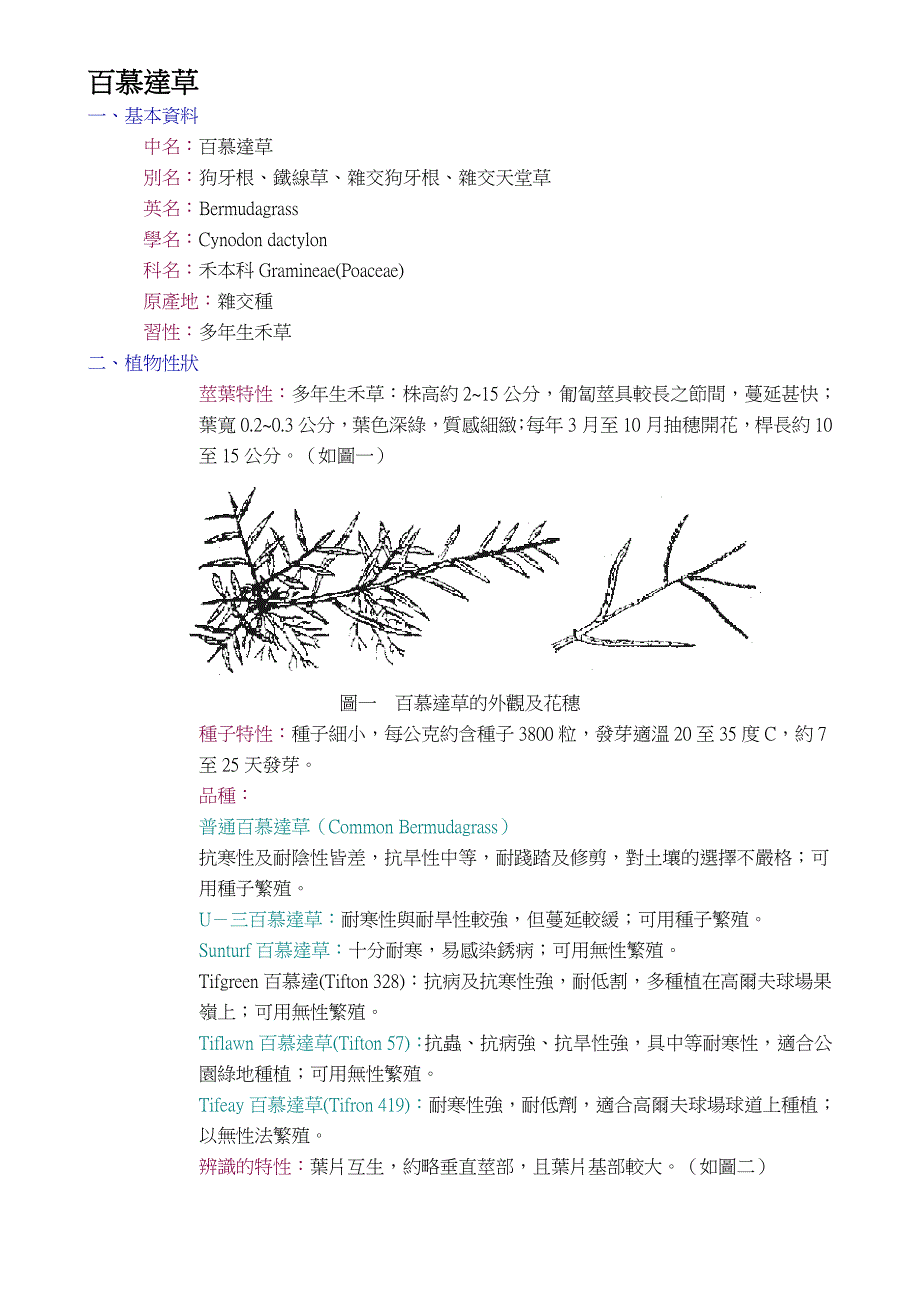 百喜草-壹种引进的水土保持植物_第4页