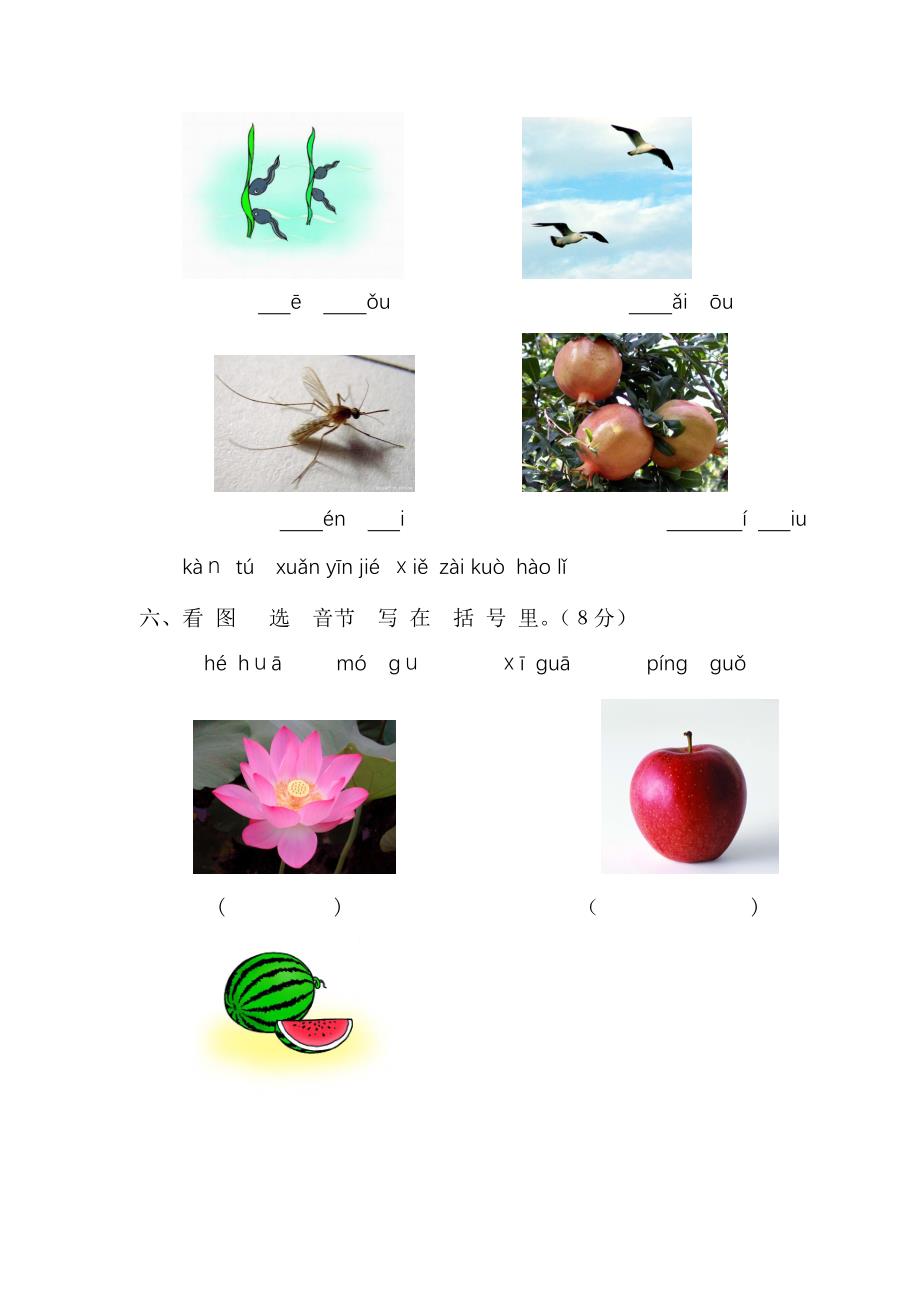 新新课标人教版一年级语文上册汉语拼音第二单元测试题(A卷)_第3页