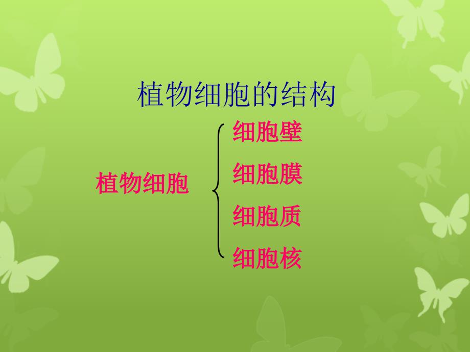 七年级生物植物细胞的结构和功能课件新课标人教版课件_第2页