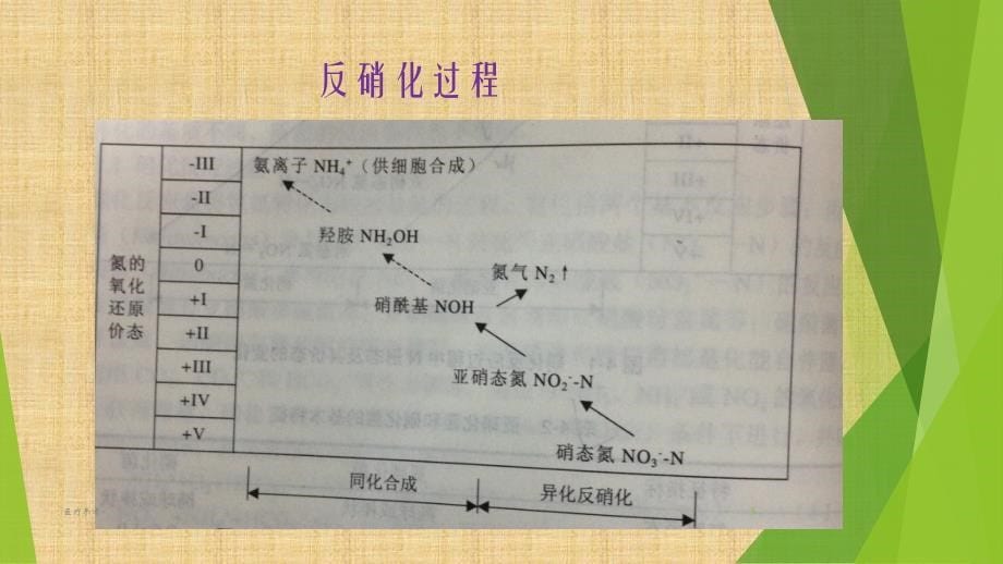 生物脱氮除磷原理及工艺【优选资料】_第5页