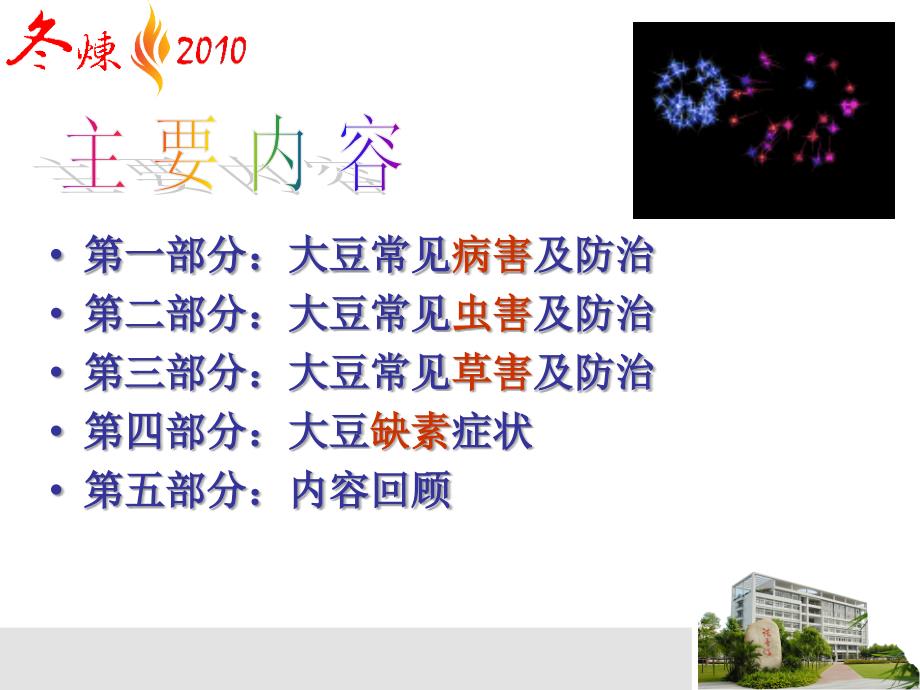 大豆病虫害防治精选参考PPT_第4页