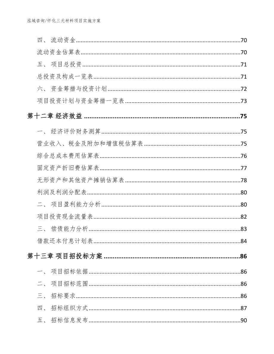 怀化三元材料项目实施方案（参考范文）_第5页