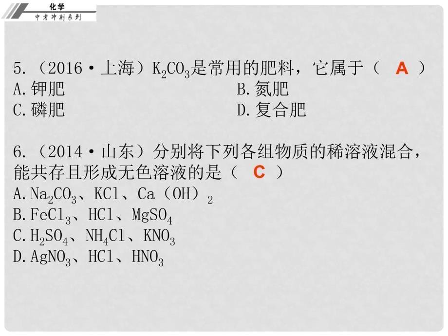 中考化学总复习 第十九章 盐和化学肥料（课后作业本）课件_第5页