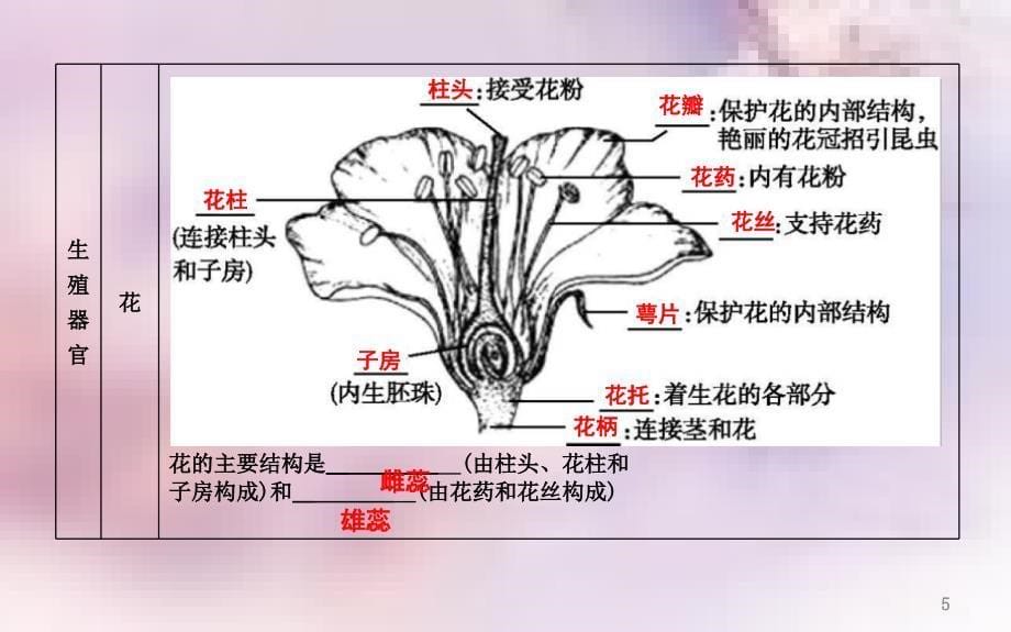 七年级生物上册期末复习三第三单元第一三章课件新版新人教版_第5页