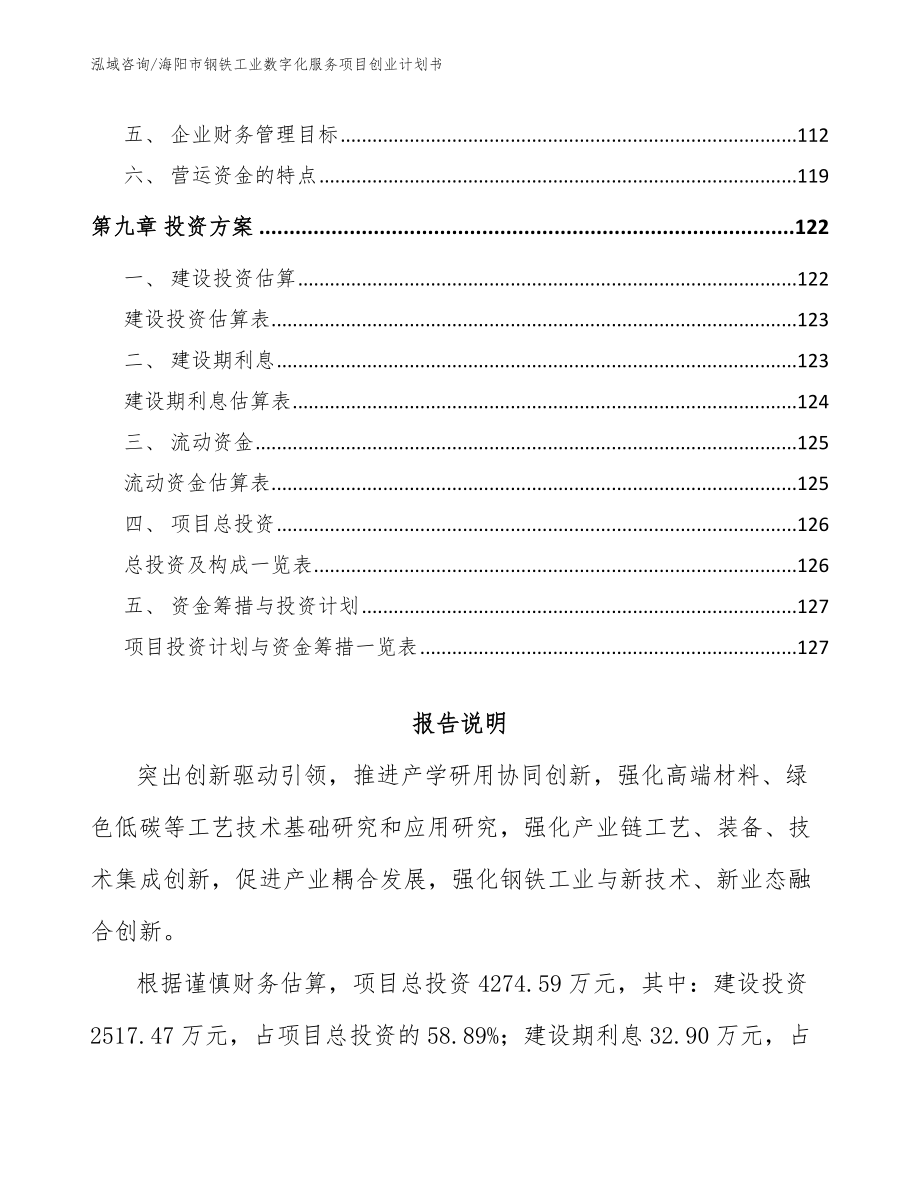 海阳市钢铁工业数字化服务项目创业计划书_第4页