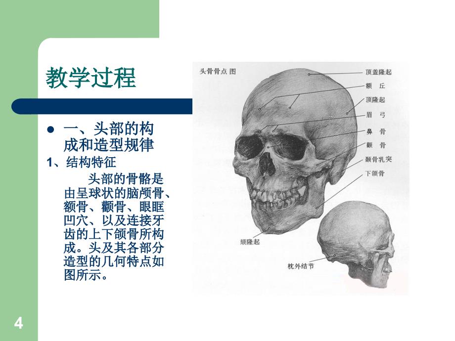 头像素描临摹_第4页