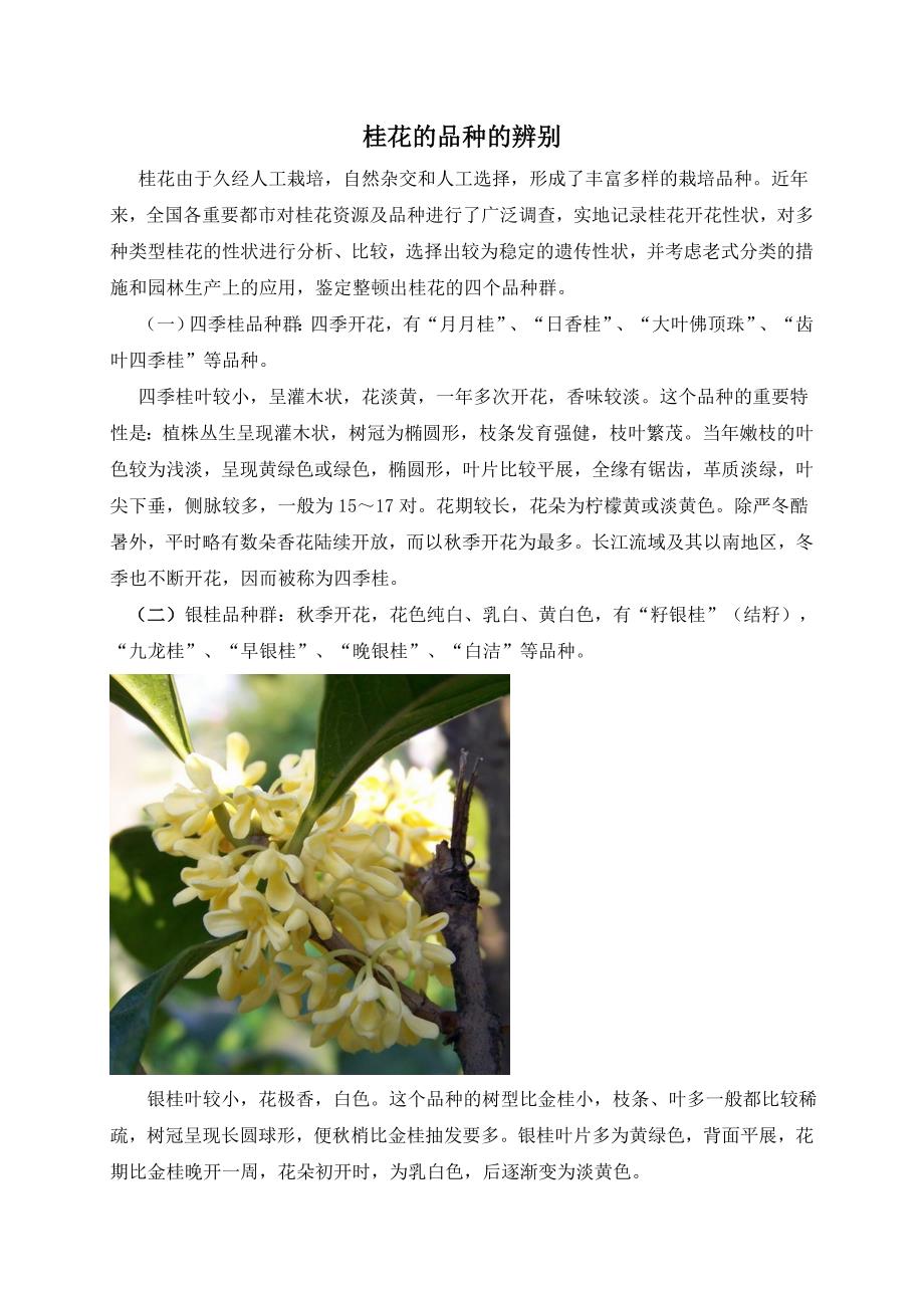 桂花品种的区分_第1页