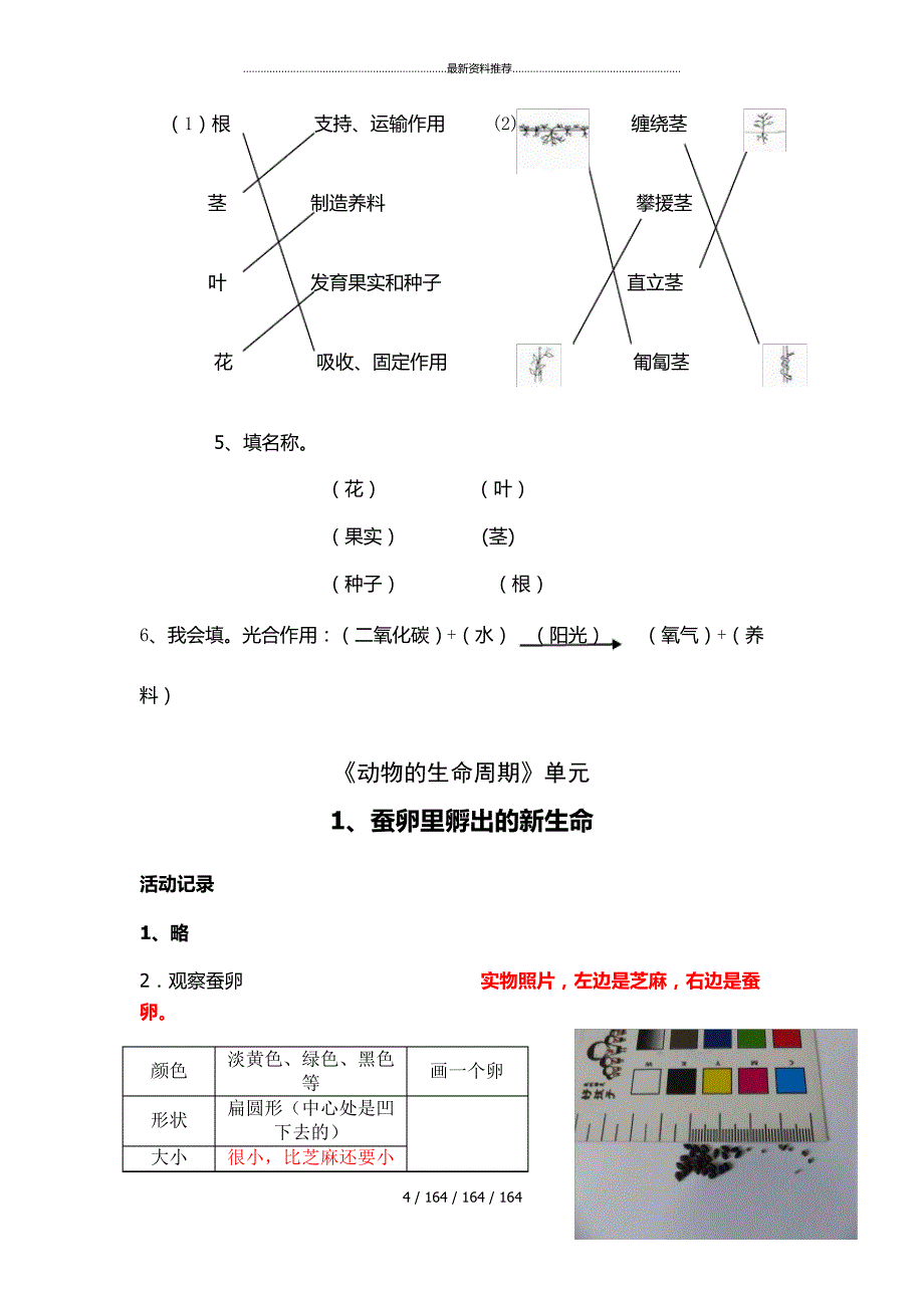 最新年教科版科学三年级下册作业本参考答案_第4页