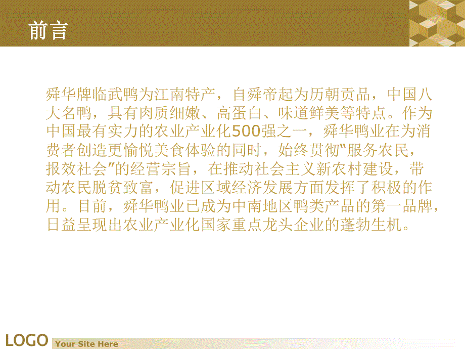 湖南临武舜华鸭业营销策划.ppt_第3页