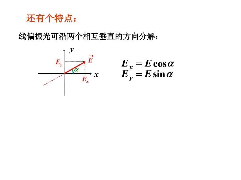 物理第五章光的偏振_第5页