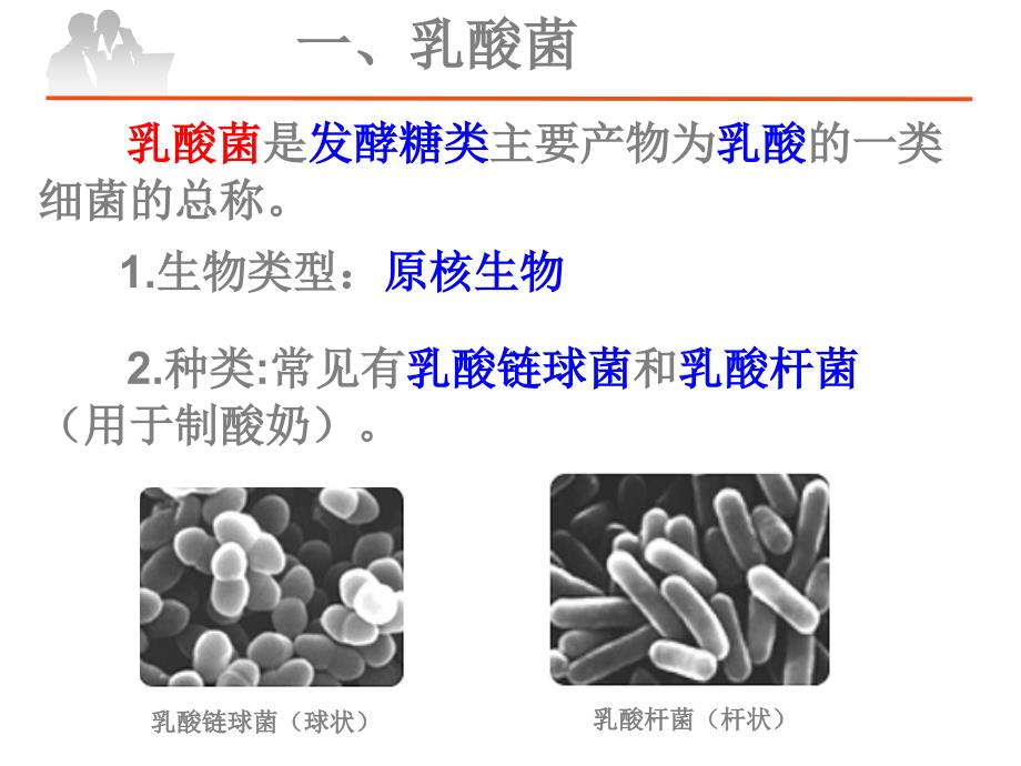 人教版-选修一-制作泡菜并检测亚硝酸盐含量课件_第3页