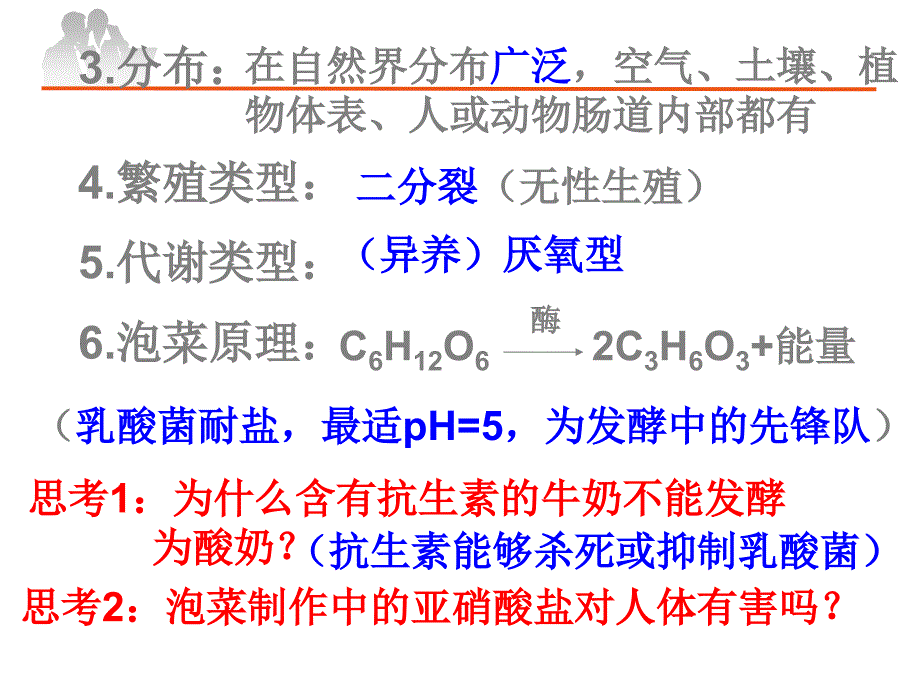 人教版-选修一-制作泡菜并检测亚硝酸盐含量课件_第4页