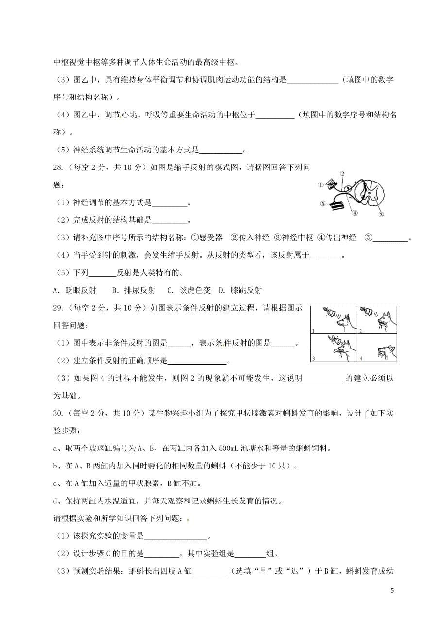 七年级生物下册 第六章 人体生命活动的调节检测题 （新版）新人教版_第5页