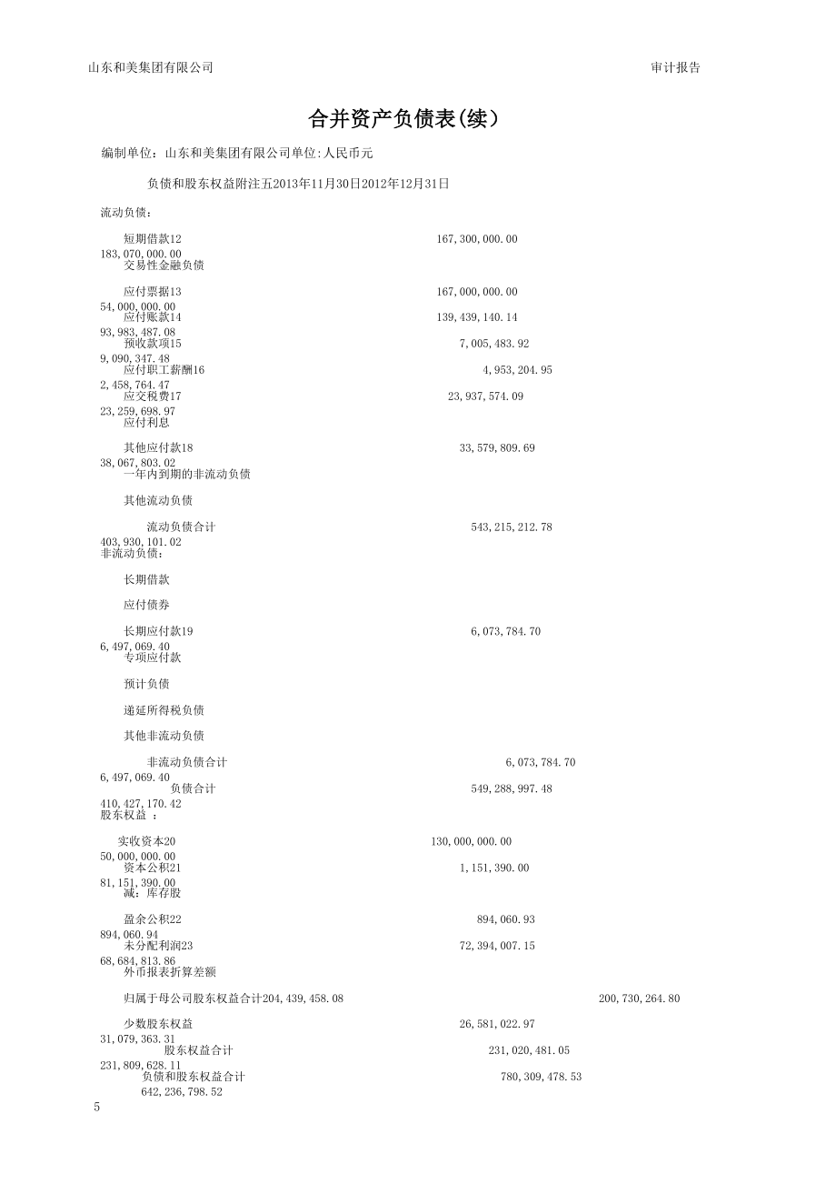 山东和美集团有限公司111月财务报表审计报告_第5页