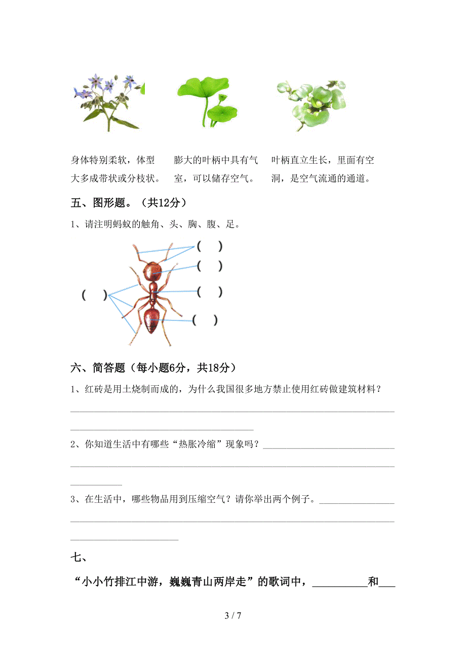 小学三年级科学上册期中考试及答案【2022年】.doc_第3页