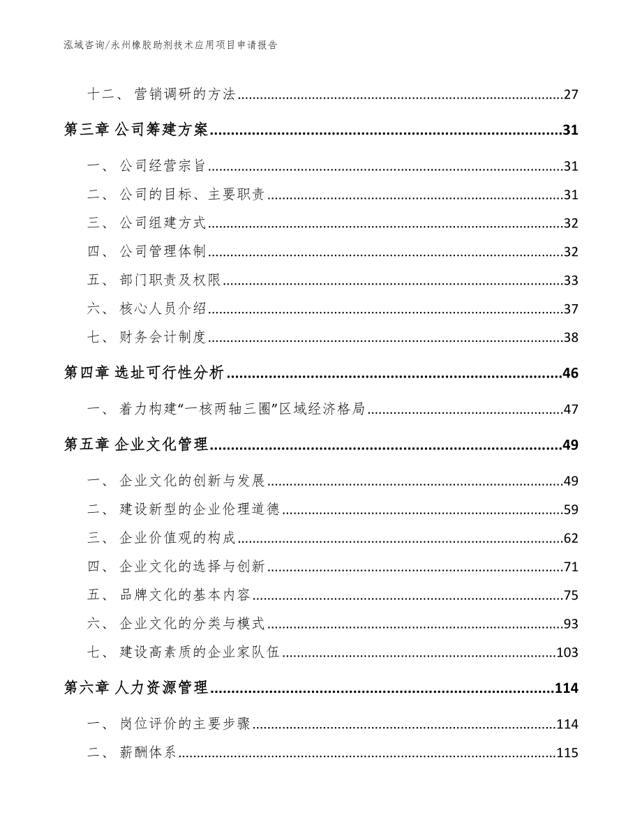永州橡胶助剂技术应用项目申请报告【模板参考】_第3页