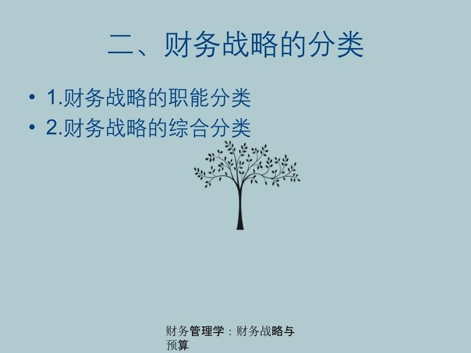 财务管理学财务战略与预算_第5页