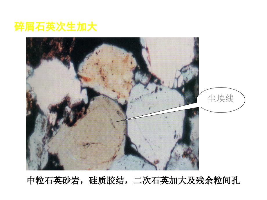 【地质资料】第6章 沉积岩的偏光显微镜研究04_第3页