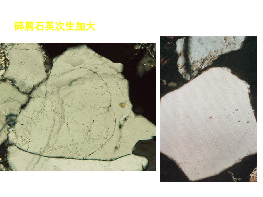 【地质资料】第6章 沉积岩的偏光显微镜研究04_第4页