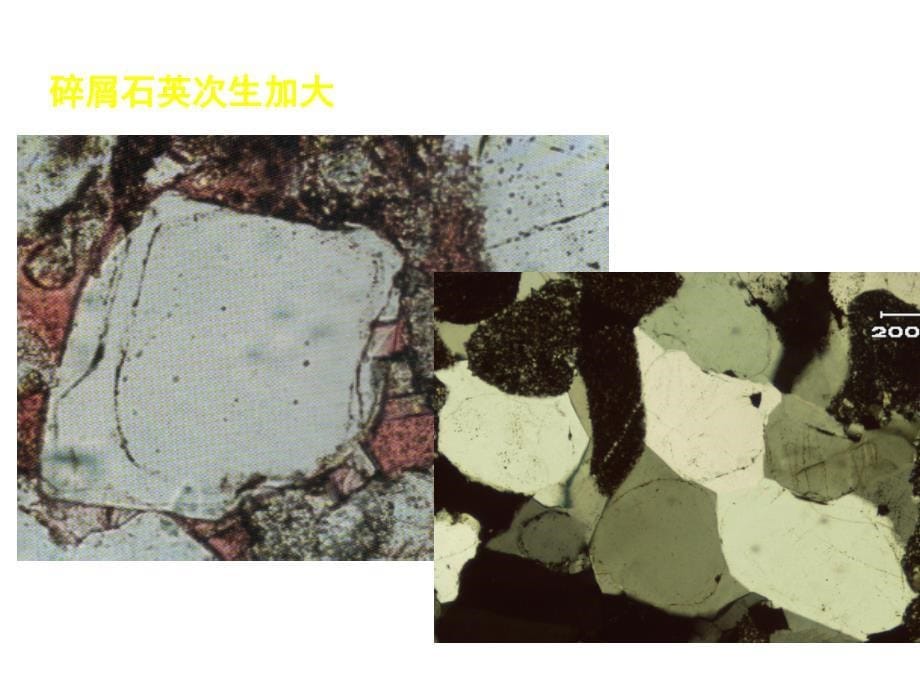 【地质资料】第6章 沉积岩的偏光显微镜研究04_第5页