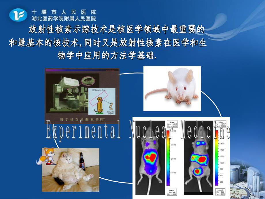 核医学课件：第三章放射性核素示踪技术与显像_第3页