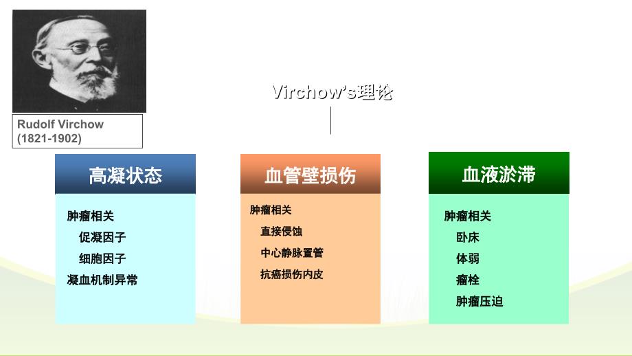 恶性肿瘤与血栓_第3页