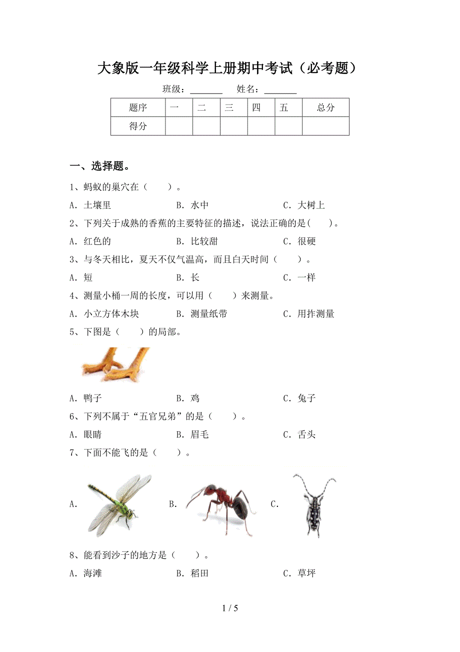 大象版一年级科学上册期中考试(必考题).doc_第1页